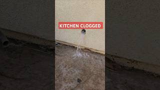 Kitchen Sink CLOGGED plumbing plumber fail cloggeddrain kitchen shorts fyp [upl. by Herbert283]