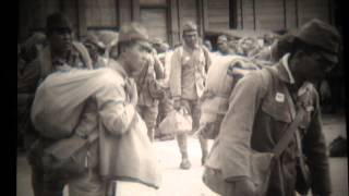 1945 US Military Processing Japanese Soldiers in Korea [upl. by Ebberta]