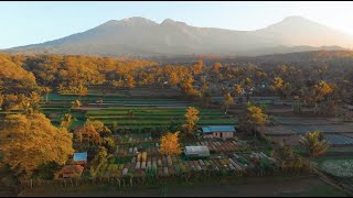 Regenerative Organic Eco Farm Next to Bali  Lombok Organic [upl. by Adnerol49]