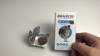 Bravecto dog  Bravecto Hund  Bravecto® Kautablette für Hunde [upl. by Akimaj439]