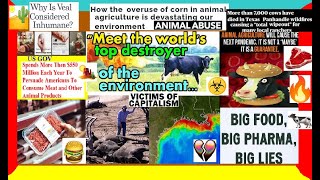 PURE EVIL The Beef Cattle Meat Industry DEEPDIVE Big Pharma Capitalism Pollution True Crime [upl. by Zerat887]