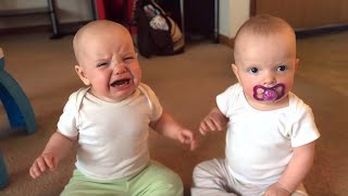 Twin baby girls fight over pacifier [upl. by Fineman]