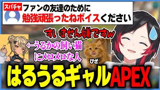 スパチャで頑張ったねボイスをねだられるうるかとうるかの飼い猫にメロメロなきゅーちゃん【うるか渋谷ハル神成きゅぴぴざAPEX】 [upl. by Koren]