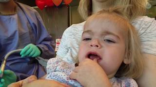 Babys First Dentist Visit  6 Kids at the DENTIST  BIG FAMILY FUN [upl. by Gehman794]