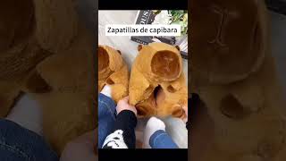 Zapatillas de capibara iboop iBOOP capybara peluches plush regalos gifts capibara dolls [upl. by Gregg995]