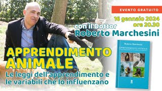 quotApprendimento animalequot una serata con BenEssere cinofilia e Roberto Marchesini [upl. by Aissac]