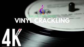 Calm the Mind  Vinyl Crackling Sound Effects [upl. by Neirad]