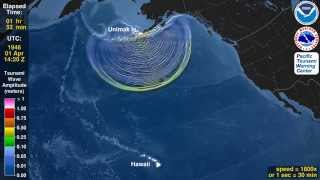 Tsunami Animation Unimak Island Aleutian Islands 1946 rotating globe [upl. by Nettirb567]