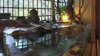 Ryokan w Private Onsen in Hakone [upl. by Shanda]