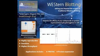 WES and JESS Automated Western Blotting [upl. by Auroora]