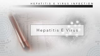 Hepatitis E CDC Viral Hepatitis Serology Training [upl. by Emmalyn656]