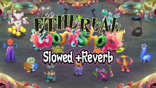 Ethereal Workshop  Slowed  Reverb [upl. by Stearn759]