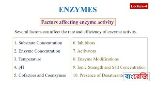 Which Factors affecting enzyme activity [upl. by Ynaffets]