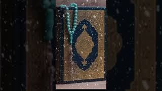 Surah Sharah The Relief tilawat quranshorts [upl. by Orimisac]