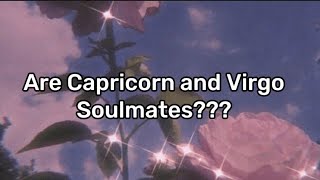 Capricorn and Virgo Compatibility Love Sex Relationship Marriage and More [upl. by Eskill]