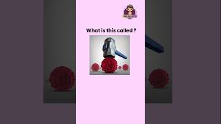 Can you guess these vocabulary  english learnenglish dailyenglish [upl. by Tnilk40]