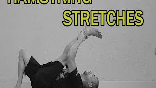 THE COMPLETE STRETCHING VIDEO GUIDE  HAMSTRING STRETCHES [upl. by Aivataj]