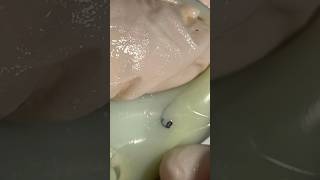 Mochi Pimple Popping pimplepopping satisfying visualasmr relax cats oddlysatisfying [upl. by Katonah]