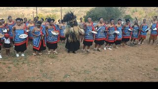 lindysuethelatebloomer Umtsimba waLaNkhosi kaHlophe eSigcineni Traditional Wedding [upl. by Henriques]