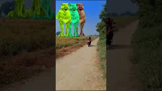 Real T Rex Jurassic World park In today viral animals jurassicworld ytstudioRKdinosaurofficial [upl. by Katey]