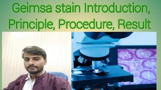 Giemsa stainGiemsa stain in Hindi Giemsa stain procedure [upl. by Donoho]