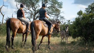 African Dream Horse Safari  Horseback Trail [upl. by Blanc]