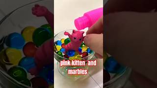 pink kitten and marbles 🐈🐈🐈🐈 shortvideo shorts kitten [upl. by Ecyoj]