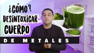 😎 Como eliminar los Metales pesados del Cuerpo Chlorella  Formas de Desintoxicar el Cuerpo [upl. by Norrabal169]