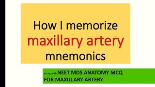 Maxillary artery mnemonics videohow to memorize anything [upl. by Amiel422]