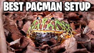 How to Setup a Pacman Frog Tank [upl. by Yerag162]