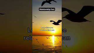 0nly Facts  Relationship Fact [upl. by Lebana]