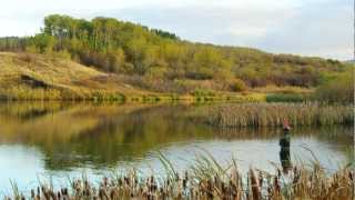 Fishing in Central Montana [upl. by Edea]