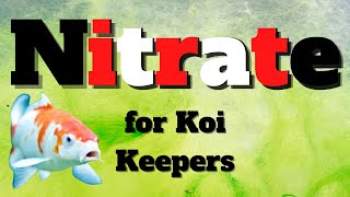 Koi Pond Nitrate  What every koi keeper needs to know about Nitrate [upl. by Lenz]