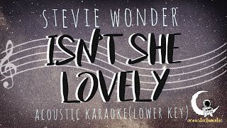 ISNT SHE LOVELYStevie Wonder Acoustic KaraokeLower Key [upl. by Chloe726]