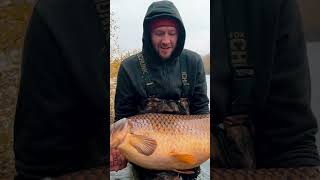 Wild Carp fishing carpfishing [upl. by Corsetti]