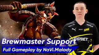 Malady BREWMASTER SUPPORT 5 Pos  Dota 2 735c Pro Gameplay [upl. by Ybhsa435]