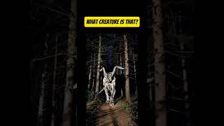 What creature is that 😱  horror trending scary [upl. by Cantu]