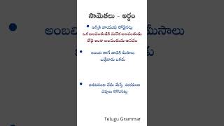 అర్థంతో కూడిన సామెతలు సామెతలు ద్వారా జీవితం అర్థం చేసుకోవడం By Telugu Grammar telugugrammar [upl. by Pinkham841]