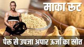 Maca Root Health Benefits Dosage and Side Effects in Hindi [upl. by Hteb]