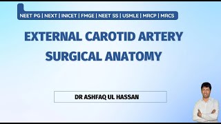 External Carotid Artery  Angiology for NEET PG  FMGE INICET [upl. by Aletsirc765]