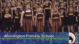 Mornington Primary School Otago Polyfest 2018 [upl. by Rivi]