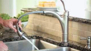 Moen Walden Pullout Kitchen Faucet featuring Reflex amp Microban [upl. by Ajuna]