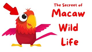 Macaw Wild Life  An Amazing Video About the Wonders of Macaw Birds [upl. by Sladen155]