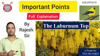 The Laburnum Top explanation Class 11  English Core  Important Points for MCQ by Rajesh Sir [upl. by Nnyrb]