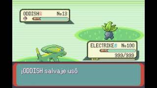 POKEMON EMERALD  ELECTRIKE  AYUDA  ASSIST [upl. by Snevets344]