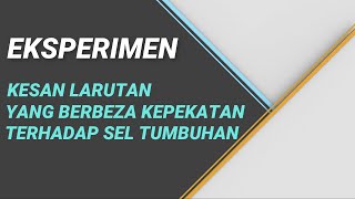 EKSPERIMEN 34 BIOLOGI  Kesan Larutan Hipotonik Isotonik amp Hipertonik Terhadap Sel Tumbuhan [upl. by Acinhoj]