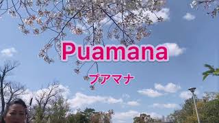 Puamana プアマナ [upl. by Emmeram]