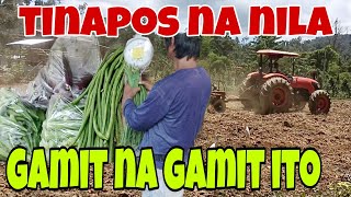 May Gulay ParinAng BILISWala Pang Isang OrasBuhay Bukidtractor [upl. by Anastas]