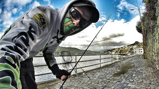 Street amp Urban Fishing Douro [upl. by Dorsman]