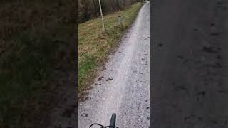 Cycling training parallel to the river Salzach at the morning of 10th November 2024 park mtb [upl. by Yoshi]